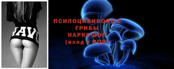 spice Абинск