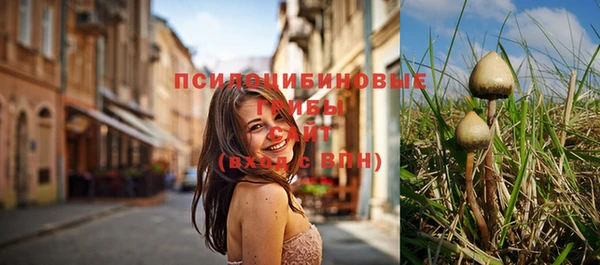 ECSTASY Армянск